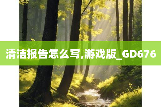 清洁报告怎么写,游戏版_GD676