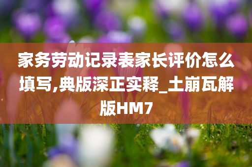 家务劳动记录表家长评价怎么填写,典版深正实释_土崩瓦解版HM7