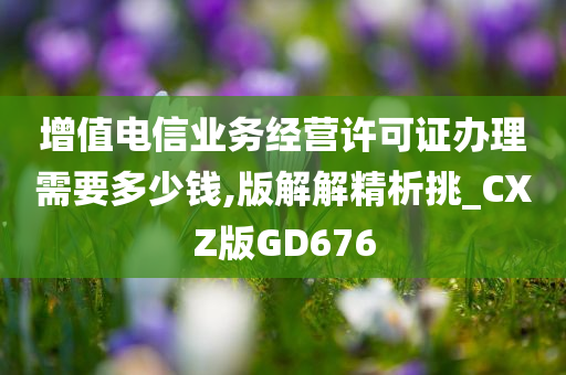 增值电信业务经营许可证办理需要多少钱,版解解精析挑_CXZ版GD676