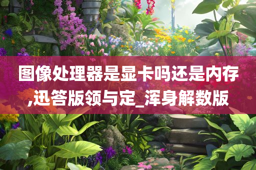 图像处理器是显卡吗还是内存,迅答版领与定_浑身解数版