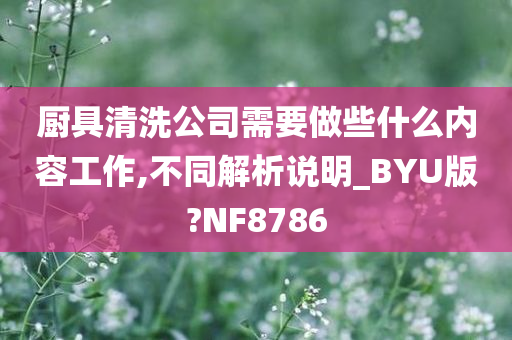 厨具清洗公司需要做些什么内容工作,不同解析说明_BYU版?NF8786