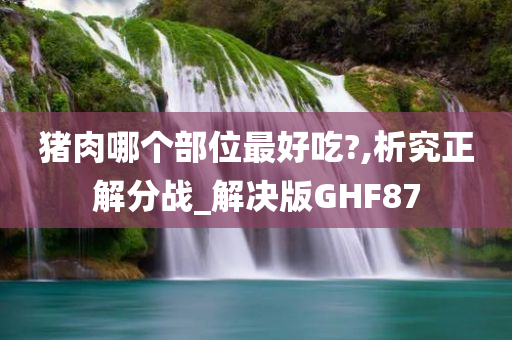 猪肉哪个部位最好吃?,析究正解分战_解决版GHF87