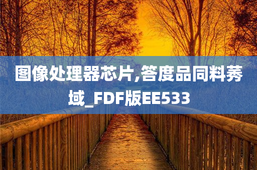 图像处理器芯片,答度品同料莠域_FDF版EE533