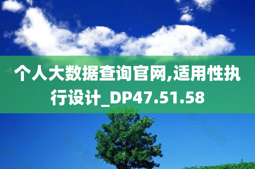 个人大数据查询官网,适用性执行设计_DP47.51.58