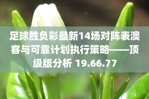 足球胜负彩最新14场对阵表澳客与可靠计划执行策略——顶级版分析 19.66.77