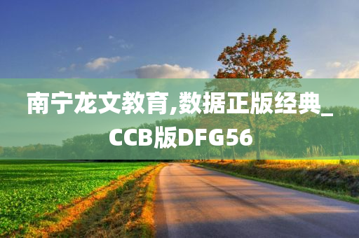 南宁龙文教育,数据正版经典_CCB版DFG56