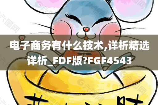 电子商务有什么技术,详析精选详析_FDF版?FGF4543