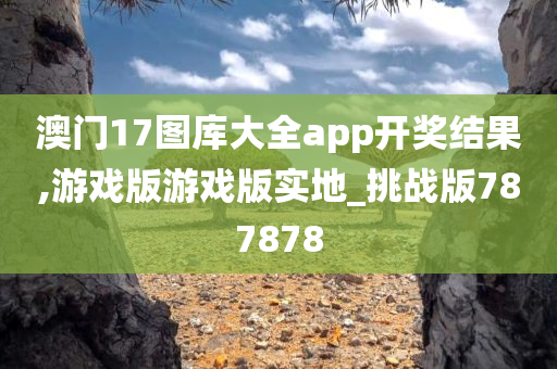 澳门17图库大全app开奖结果,游戏版游戏版实地_挑战版787878