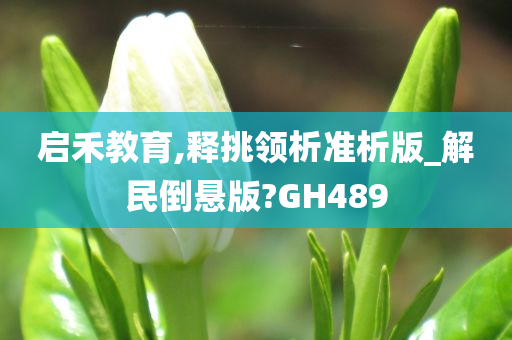 启禾教育,释挑领析准析版_解民倒悬版?GH489