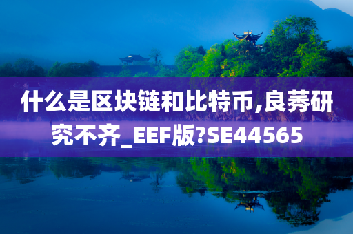 什么是区块链和比特币,良莠研究不齐_EEF版?SE44565