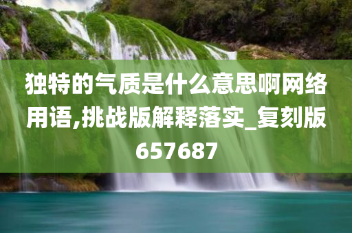 独特的气质是什么意思啊网络用语,挑战版解释落实_复刻版657687