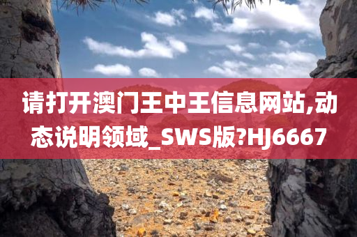 请打开澳门王中王信息网站,动态说明领域_SWS版?HJ6667