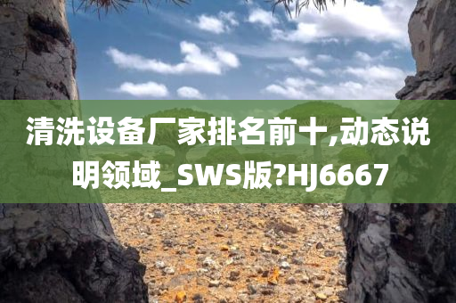 清洗设备厂家排名前十,动态说明领域_SWS版?HJ6667