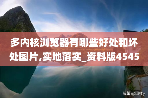 多内核浏览器有哪些好处和坏处图片,实地落实_资料版4545