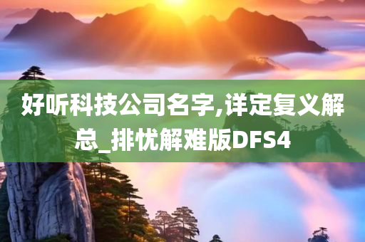 好听科技公司名字,详定复义解总_排忧解难版DFS4