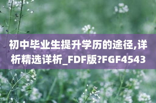 初中毕业生提升学历的途径,详析精选详析_FDF版?FGF4543