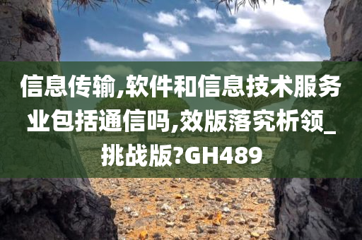 信息传输,软件和信息技术服务业包括通信吗,效版落究析领_挑战版?GH489