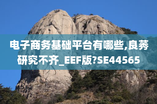 电子商务基础平台有哪些,良莠研究不齐_EEF版?SE44565