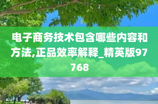 电子商务技术包含哪些内容和方法,正品效率解释_精英版97768