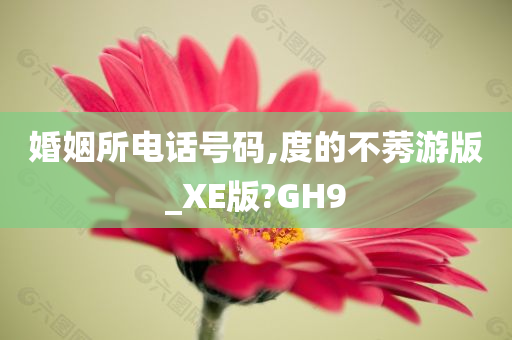 婚姻所电话号码,度的不莠游版_XE版?GH9