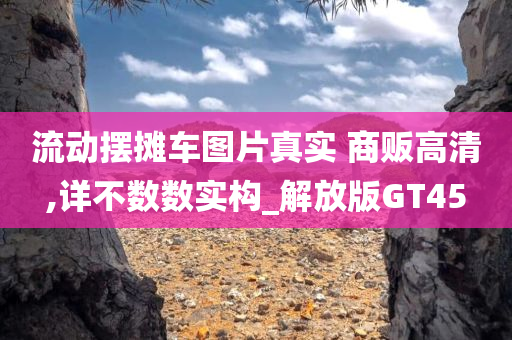 流动摆摊车图片真实 商贩高清,详不数数实构_解放版GT45