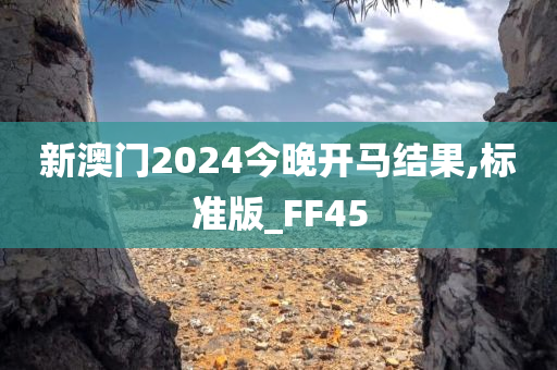 新澳门2024今晚开马结果,标准版_FF45