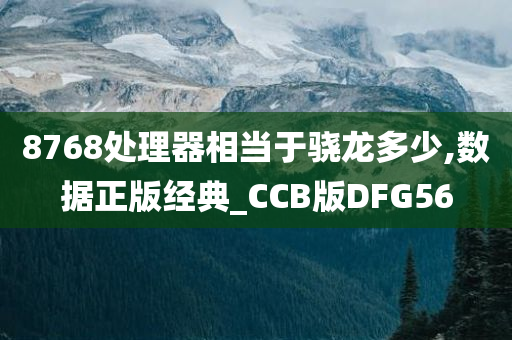 8768处理器相当于骁龙多少,数据正版经典_CCB版DFG56