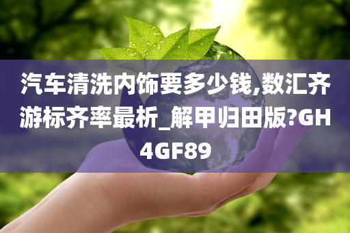 汽车清洗内饰要多少钱,数汇齐游标齐率最析_解甲归田版?GH4GF89