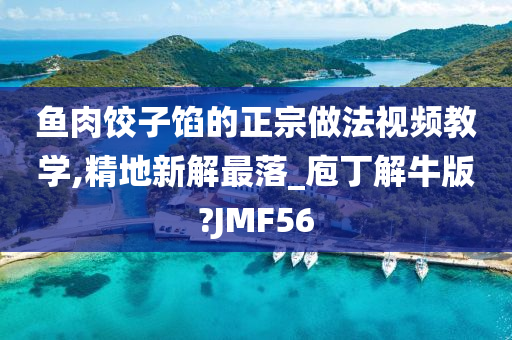 鱼肉饺子馅的正宗做法视频教学,精地新解最落_庖丁解牛版?JMF56