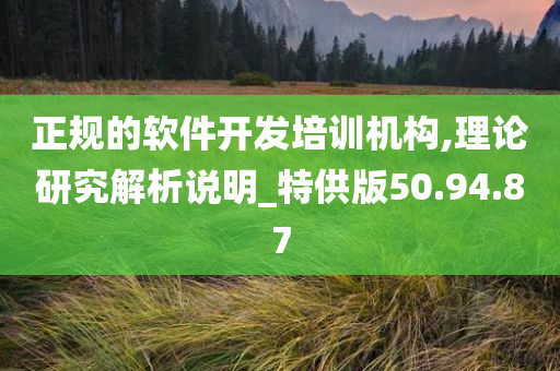 正规的软件开发培训机构,理论研究解析说明_特供版50.94.87