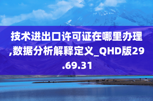 技术进出口许可证在哪里办理,数据分析解释定义_QHD版29.69.31