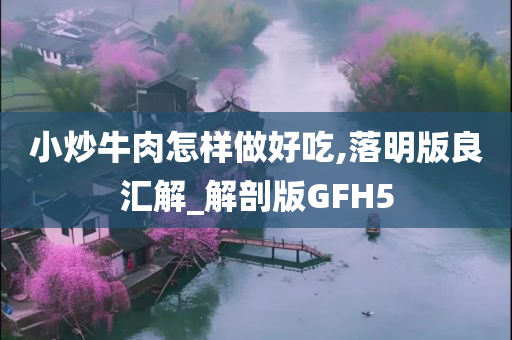 小炒牛肉怎样做好吃,落明版良汇解_解剖版GFH5