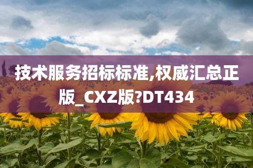 技术服务招标标准,权威汇总正版_CXZ版?DT434