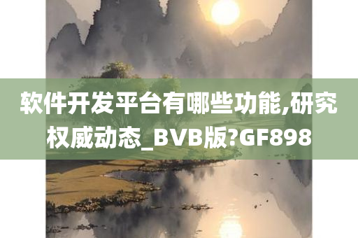 软件开发平台有哪些功能,研究权威动态_BVB版?GF898