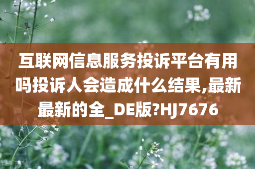 互联网信息服务投诉平台有用吗投诉人会造成什么结果,最新最新的全_DE版?HJ7676