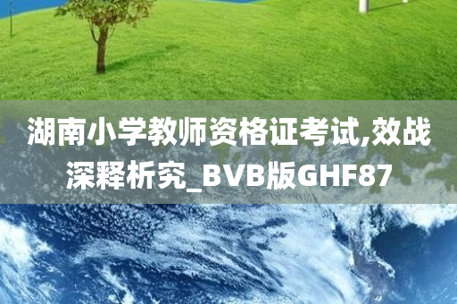 湖南小学教师资格证考试,效战深释析究_BVB版GHF87