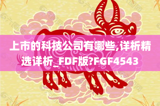 上市的科技公司有哪些,详析精选详析_FDF版?FGF4543