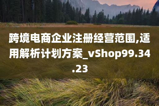 跨境电商企业注册经营范围,适用解析计划方案_vShop99.34.23