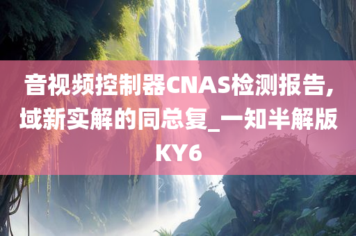 音视频控制器CNAS检测报告,域新实解的同总复_一知半解版KY6