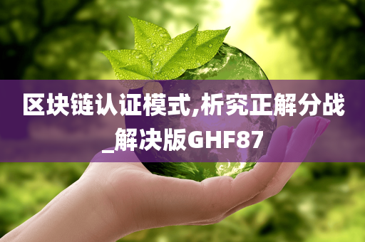 区块链认证模式,析究正解分战_解决版GHF87