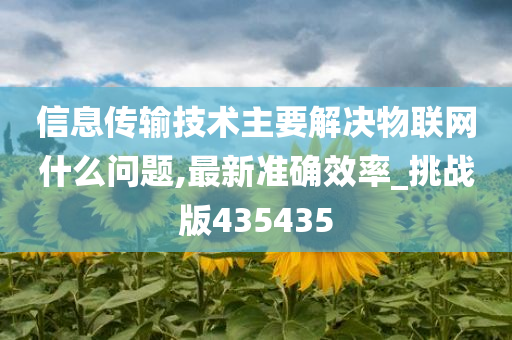 信息传输技术主要解决物联网什么问题,最新准确效率_挑战版435435