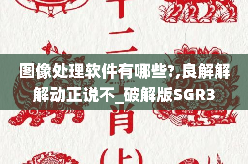 图像处理软件有哪些?,良解解解动正说不_破解版SGR3