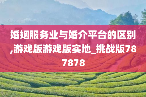 婚姻服务业与婚介平台的区别,游戏版游戏版实地_挑战版787878