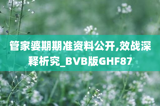 管家婆期期准资料公开,效战深释析究_BVB版GHF87