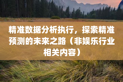 精准数据分析执行，探索精准预测的未来之路（非娱乐行业相关内容）