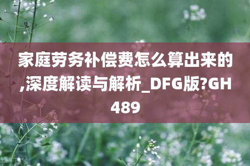 家庭劳务补偿费怎么算出来的,深度解读与解析_DFG版?GH489