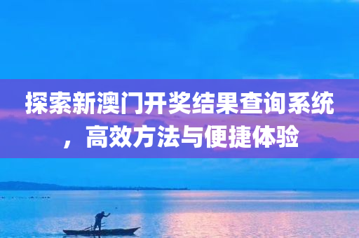 探索新澳门开奖结果查询系统，高效方法与便捷体验