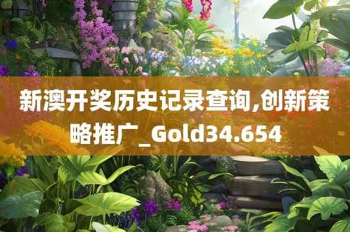 新澳开奖历史记录查询,创新策略推广_Gold34.654