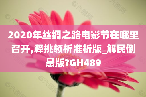 2020年丝绸之路电影节在哪里召开,释挑领析准析版_解民倒悬版?GH489