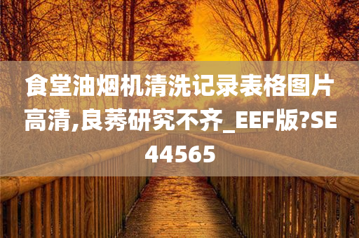 食堂油烟机清洗记录表格图片高清,良莠研究不齐_EEF版?SE44565